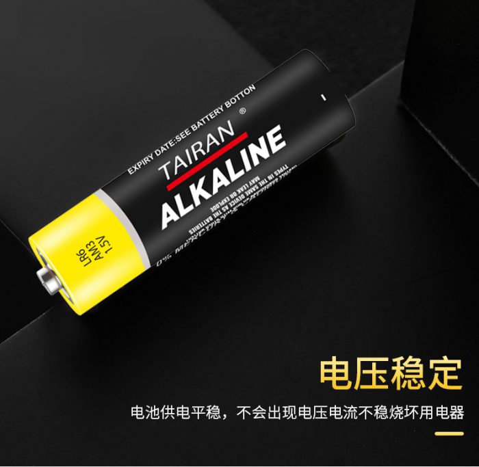 Alkaline LR6 AA 1.5V 5号 碱性电池 燃气表电池